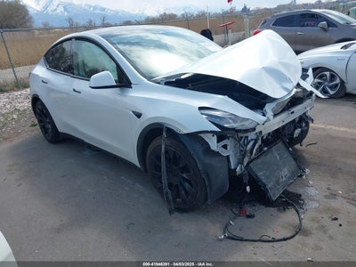TESLA MODEL Y 2021