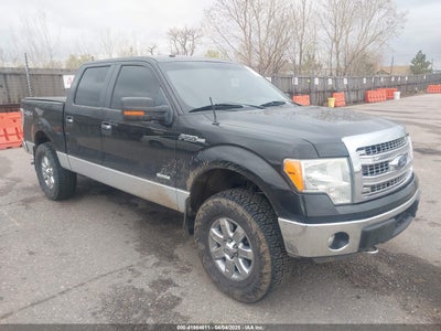 FORD F-150 2014