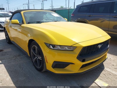 FORD MUSTANG 2024