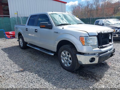 FORD F-150 2013