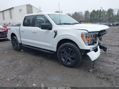 FORD F-150 2023