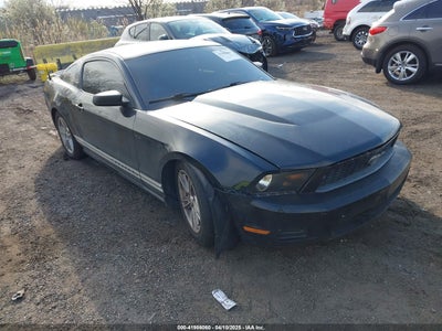 FORD MUSTANG 2010