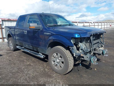 FORD F-150 2009