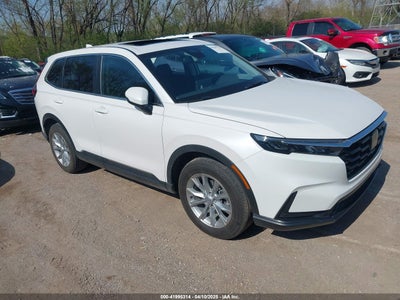 HONDA CR-V 2024