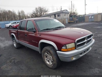 DODGE DAKOTA 2002