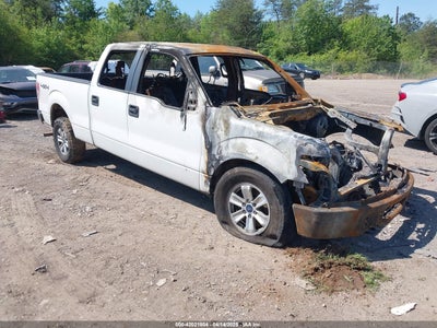 FORD F-150 2010