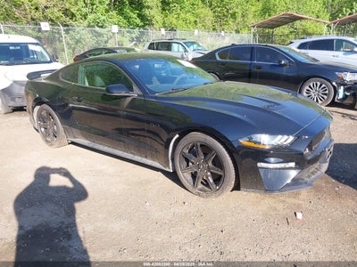 FORD MUSTANG 2019