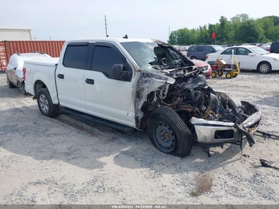 FORD F-150 2019