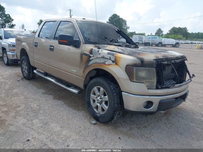 FORD F-150 2014