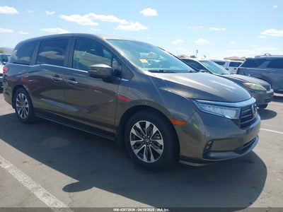 HONDA ODYSSEY 2023