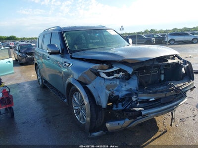 INFINITI QX80 2019