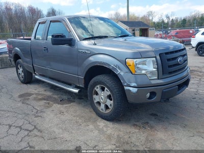 FORD F-150 2010