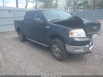 FORD F-150 2004