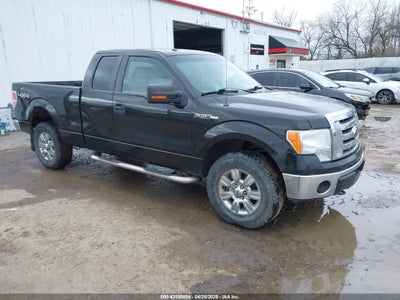 FORD F-150 2010
