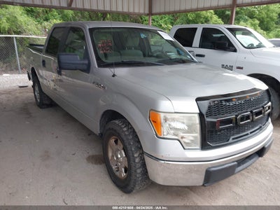 FORD F-150 2009
