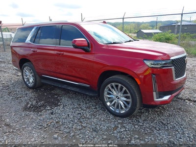 CADILLAC ESCALADE 2021