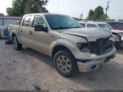 FORD F-150 2010