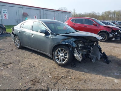 NISSAN MAXIMA 2011