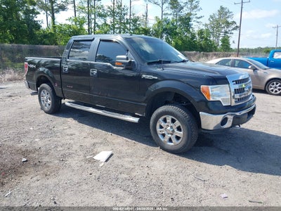 FORD F-150 2013