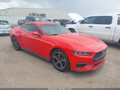 FORD MUSTANG 2024