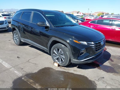HYUNDAI TUCSON HYBRID 2024