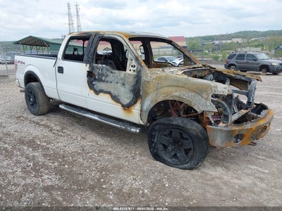 FORD F-150 2010