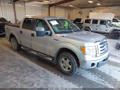 FORD F-150 2010