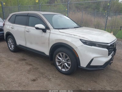 HONDA CR-V 2024