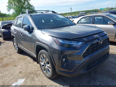 TOYOTA RAV4 2024