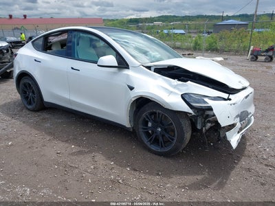 TESLA MODEL Y 2021