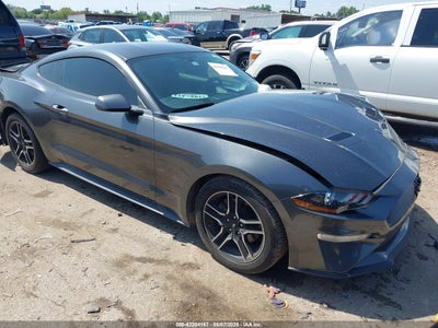 FORD MUSTANG 2019