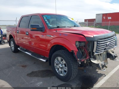 FORD F-150 2010