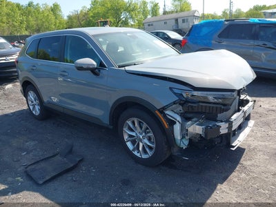 HONDA CR-V 2024