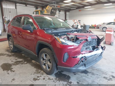 TOYOTA RAV4 HYBRID 2024