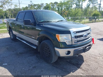 FORD F-150 2013