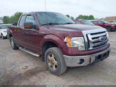 FORD F-150 2010