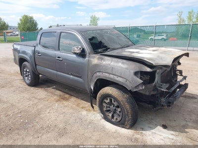 TOYOTA TACOMA 2023