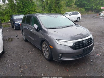 HONDA ODYSSEY 2022