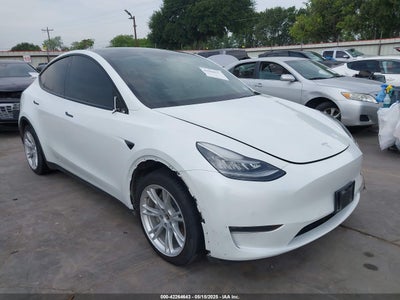 TESLA MODEL Y 2021