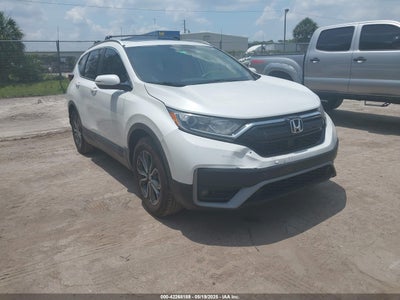 HONDA CR-V 2022