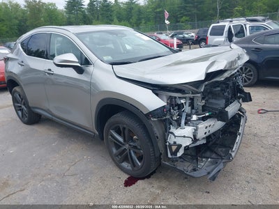 LEXUS NX 450H+ 2022