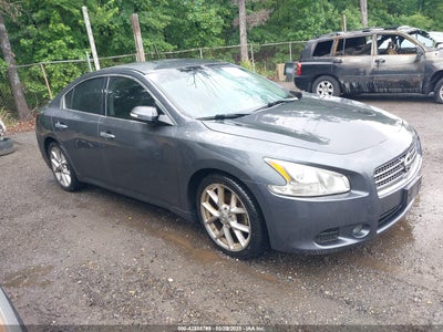NISSAN MAXIMA 2010