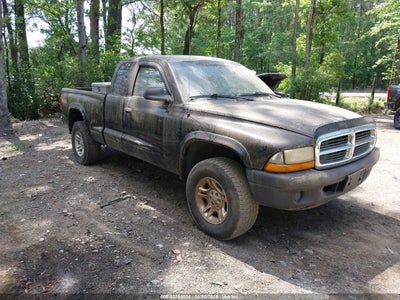 DODGE DAKOTA 2004