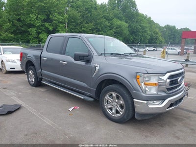 FORD F-150 2023