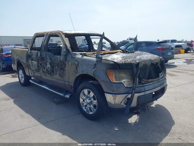FORD F-150 2010