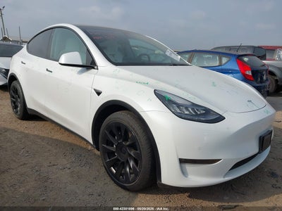 TESLA MODEL Y 2021