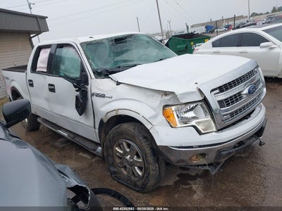 FORD F-150 2013