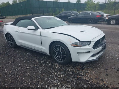FORD MUSTANG 2022