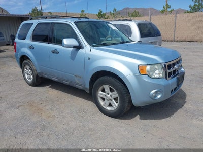 FORD ESCAPE HYBRID 2008
