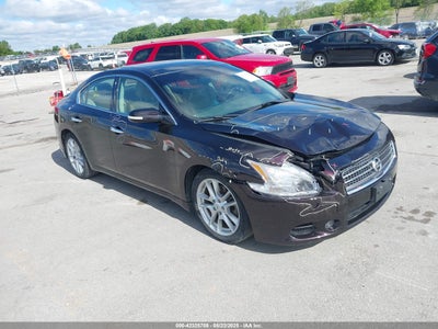 NISSAN MAXIMA 2010